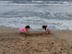 -广东惠东海龟国家级自然保护区
