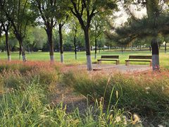 -汉长安城未央宫国家考古遗址公园