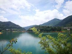 -广州市流溪河国家森林公园