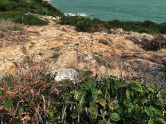 -广东惠东海龟国家级自然保护区