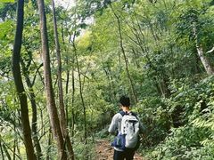 -广州市石门国家森林公园