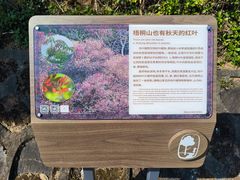 -梧桐山风景名胜区