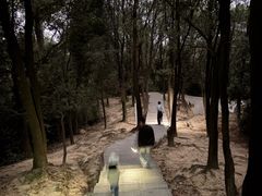 -火炉山森林公园