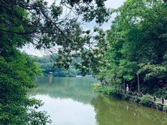 -深圳仙湖植物园