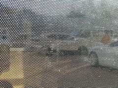 -瑞派宠物医院·犬猫全科·猫友好(宾水西道店)