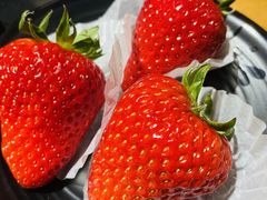 -果松木炭酸菜铜火锅·外婆参鸡汤