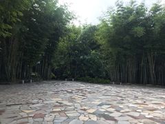 -林丰温泉度假山庄
