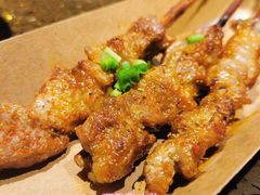 新疆柳枝羊肉串-蛙喔牛蛙(高新绿宝店)