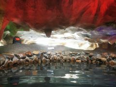 -惠州金海湾嘉华度假酒店