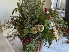 -蝶舍·MAISON PAPILLON