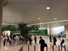 -杭州萧山国际机场