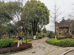 -大渡口区义渡公园