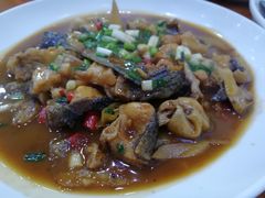 红烧有机鱼尾-全乐鱼馆·淳牌有机鱼直营店