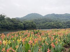-广州市石门国家森林公园