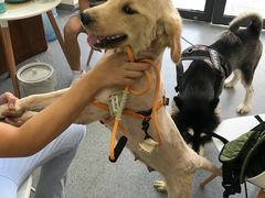 -爱诺耐芙动物医院(万博店)