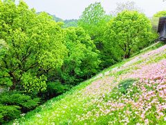 -西湖风景区-江洋畈生态公园