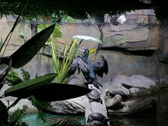 -重庆欢乐海底世界