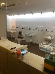 -海豚湾高端月子会所(黄浦店)