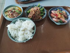 -复旦张江校区食堂