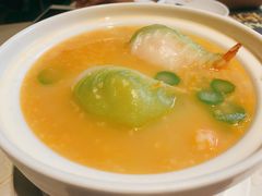 -点都德·毕德寮