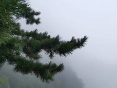 -圣莲山风景区