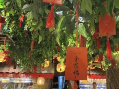 -南京大牌档(人民广场店)