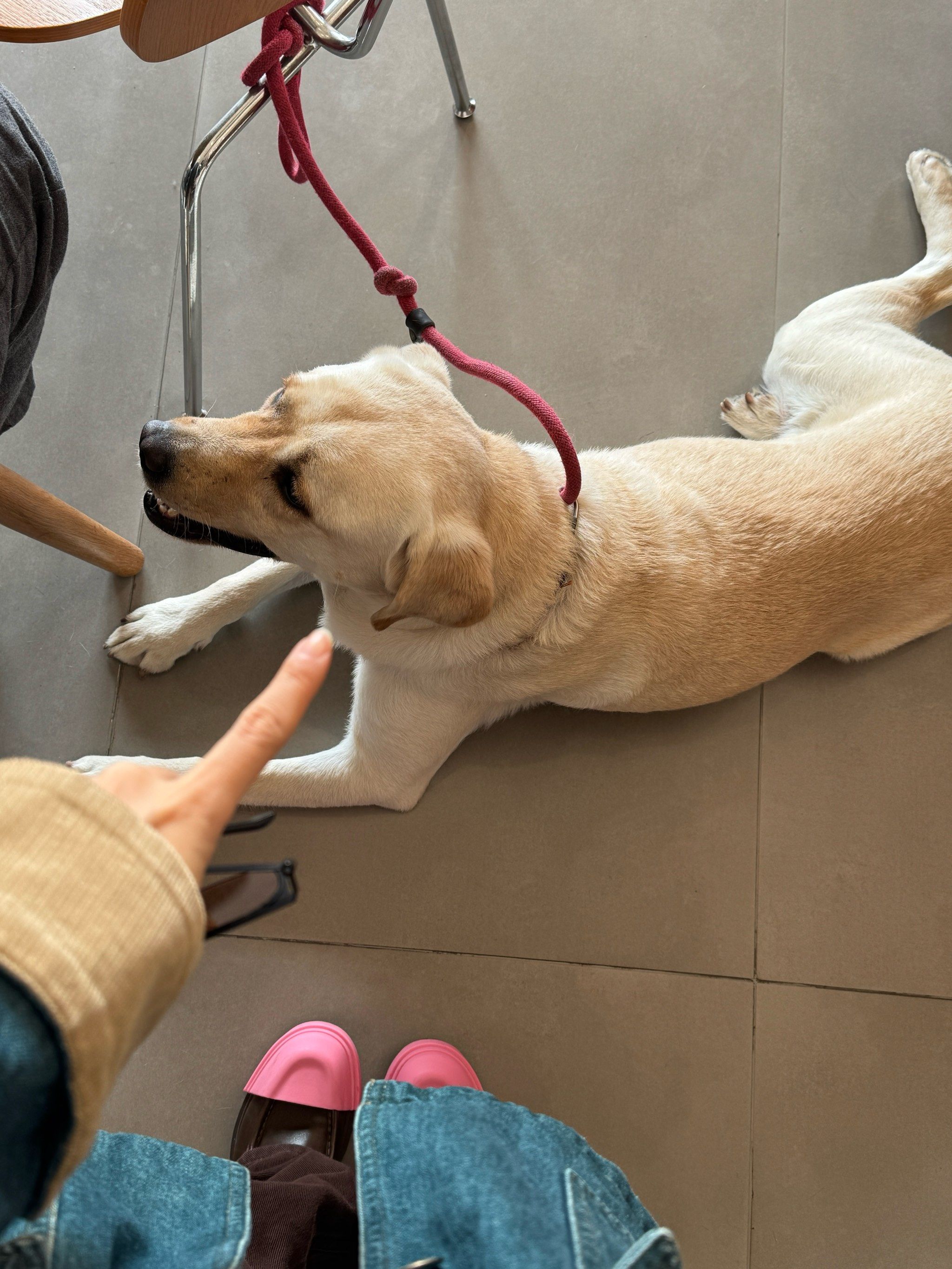 把全红婵、樊振东“喝进”肚子提神？冠军咖啡引来十五运会主新闻中心老记重视