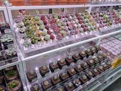 -KKV(重庆东原悦荟主力店)