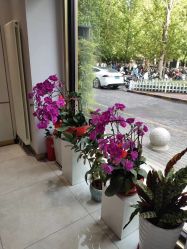 -妙姿产后修复中心(大郊亭店)