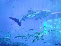 -成都浩海立方海洋公园