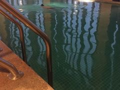 -郑州银基黄帝宫御温泉