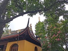 -灵岩山风景区
