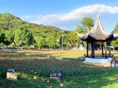 -老山国家森林公园