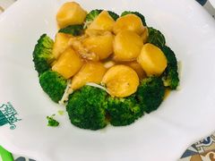 西蓝花豆腐-阿拉丁新疆风味餐厅·清真(罗廊巷店)