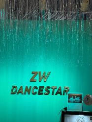 -泽舞·国际流行舞