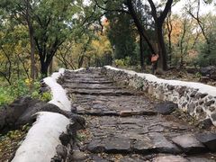 -阳台山自然风景区