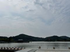 -顺峰山公园