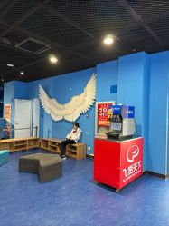 -飞览天下沉浸式飞行体验(北京旗舰店)