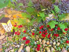 -五合院·整点烤肉