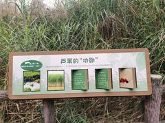 -成都市活水公园