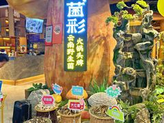 -菌彩云南野生菌火锅(万达广场店)
