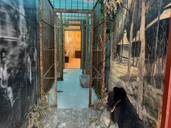 -北京动物园-畅观楼