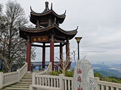 -黄埔油麻山森林公园