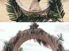 -巨鹏飞梦幻海岸