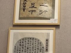 -中国宋庆龄青少年科技文化交流中心