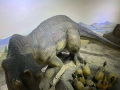 -国家自然博物馆