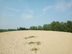 -东郊湿地公园