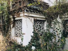 -金山嘴渔村