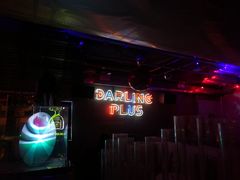 -Darling Queen·Mini·Live·House