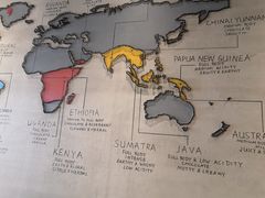 -ZING COFFEE 镜咖啡